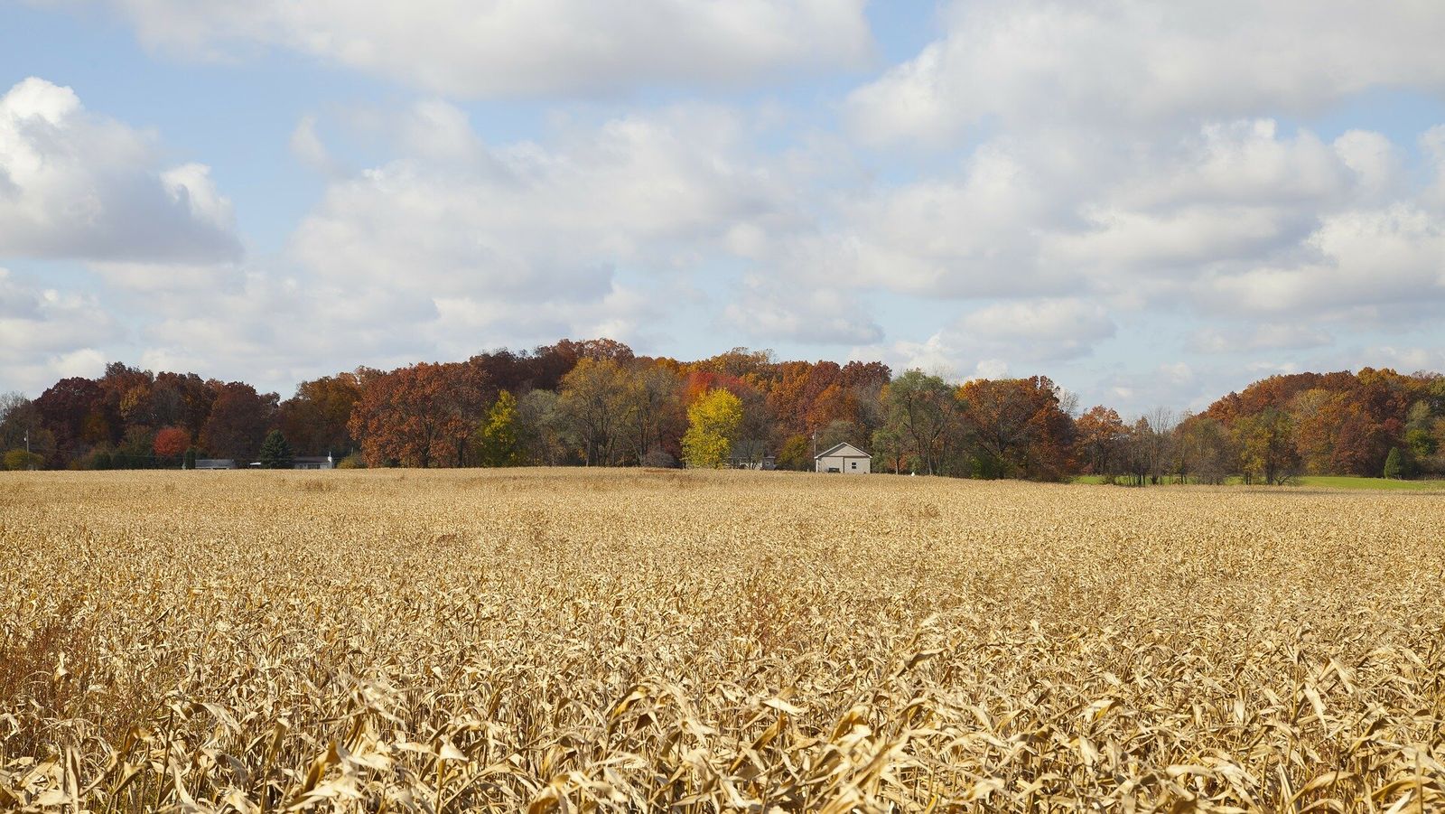 Auto huren in Indiana